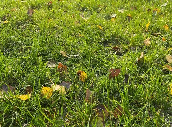 Wiklinowa Zatoka Kaszuby Villa